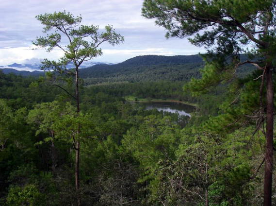 Il Parco Nazionale di Kirirom