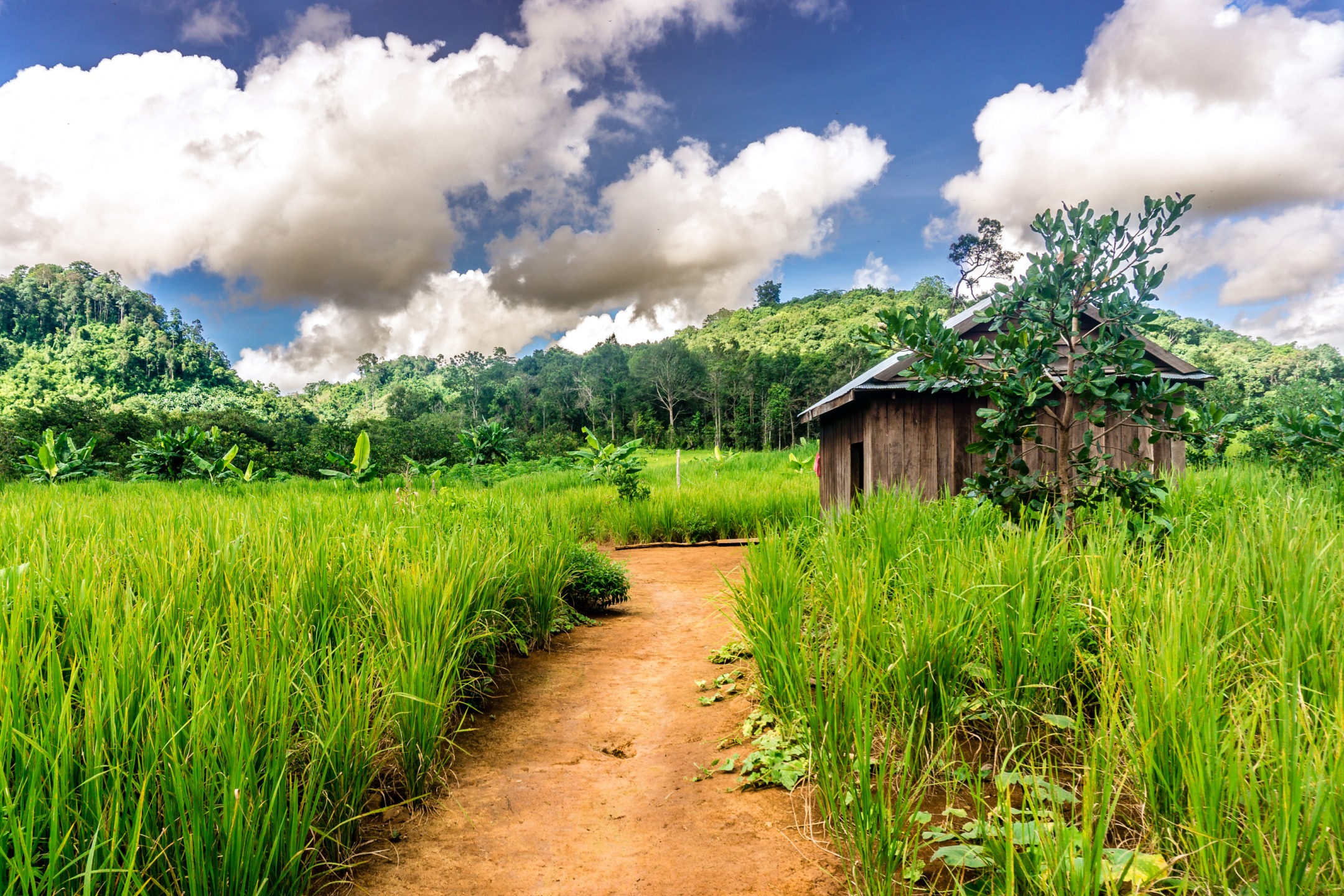 I 5 più bei luoghi per fare trekking in Cambogia