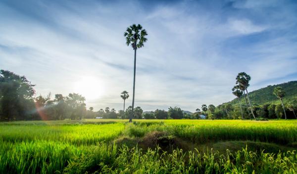 Le 5ème Festival du Mekong « reliera la paix, le peuple, et le tourisme »