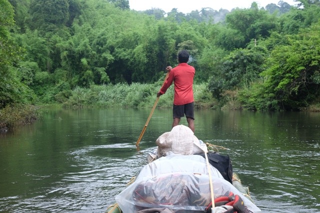 Green Jungle Trekking