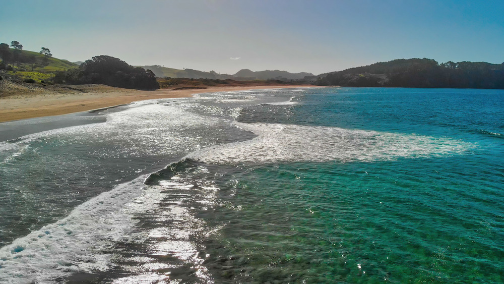 Hot Water Beach en Nouvelle