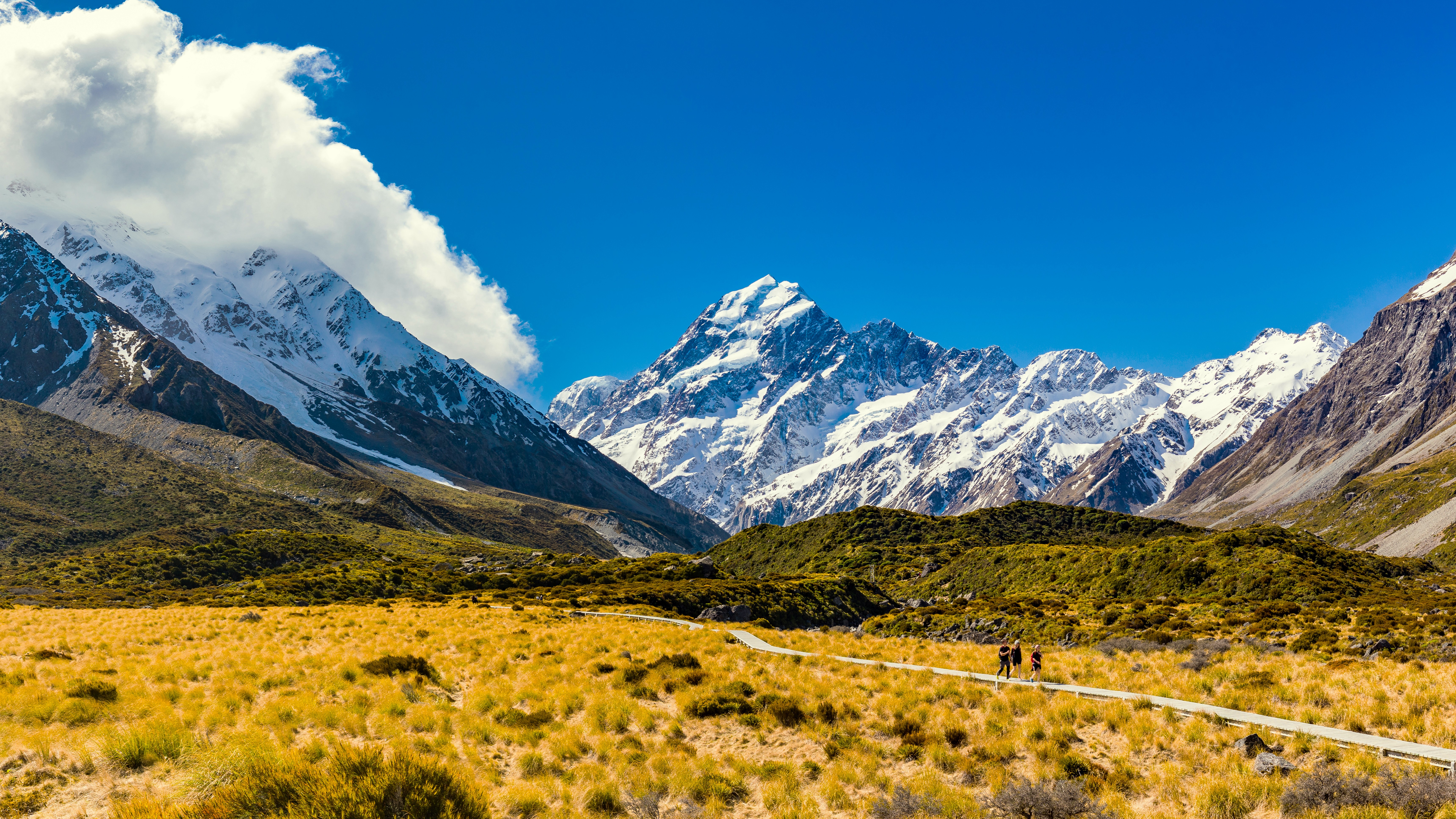 Paysage de la région Côte ouest et Alpes du Sud en Nouvelle-Zélande