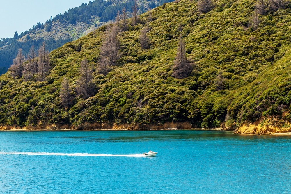 Marlborough Sounds