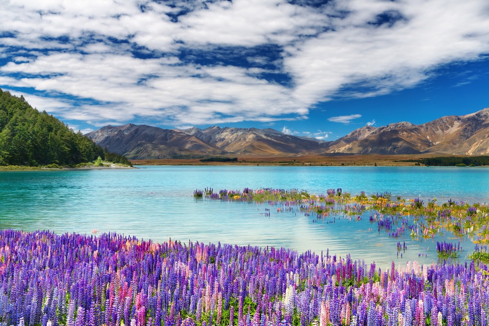 Lago Tekapo