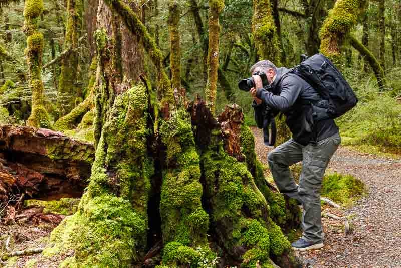 Viaggio fotografico naturalista in Nuova Zelanda