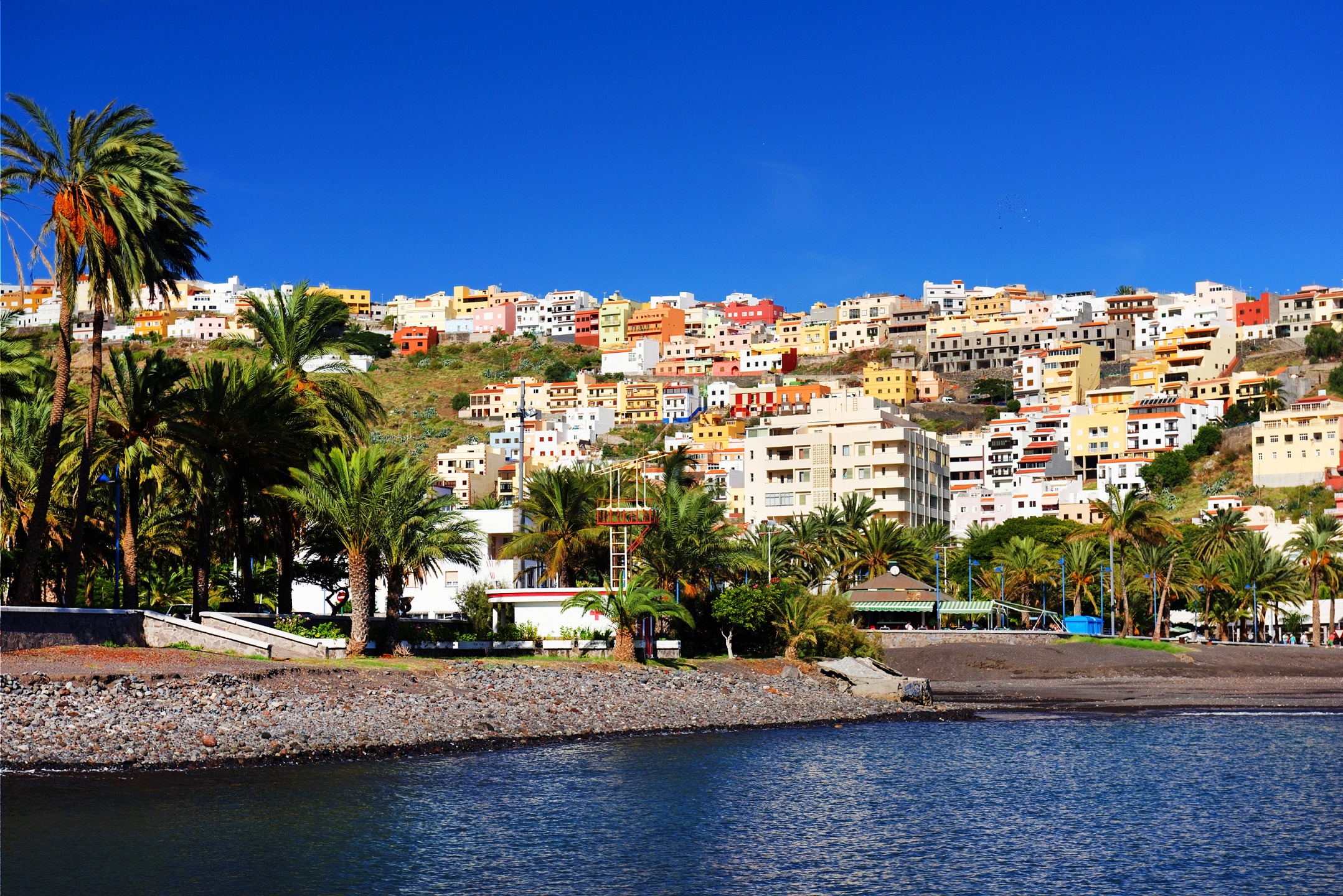 Canaries