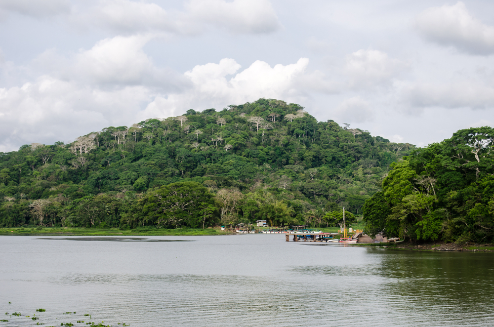 Tropical biodiversity