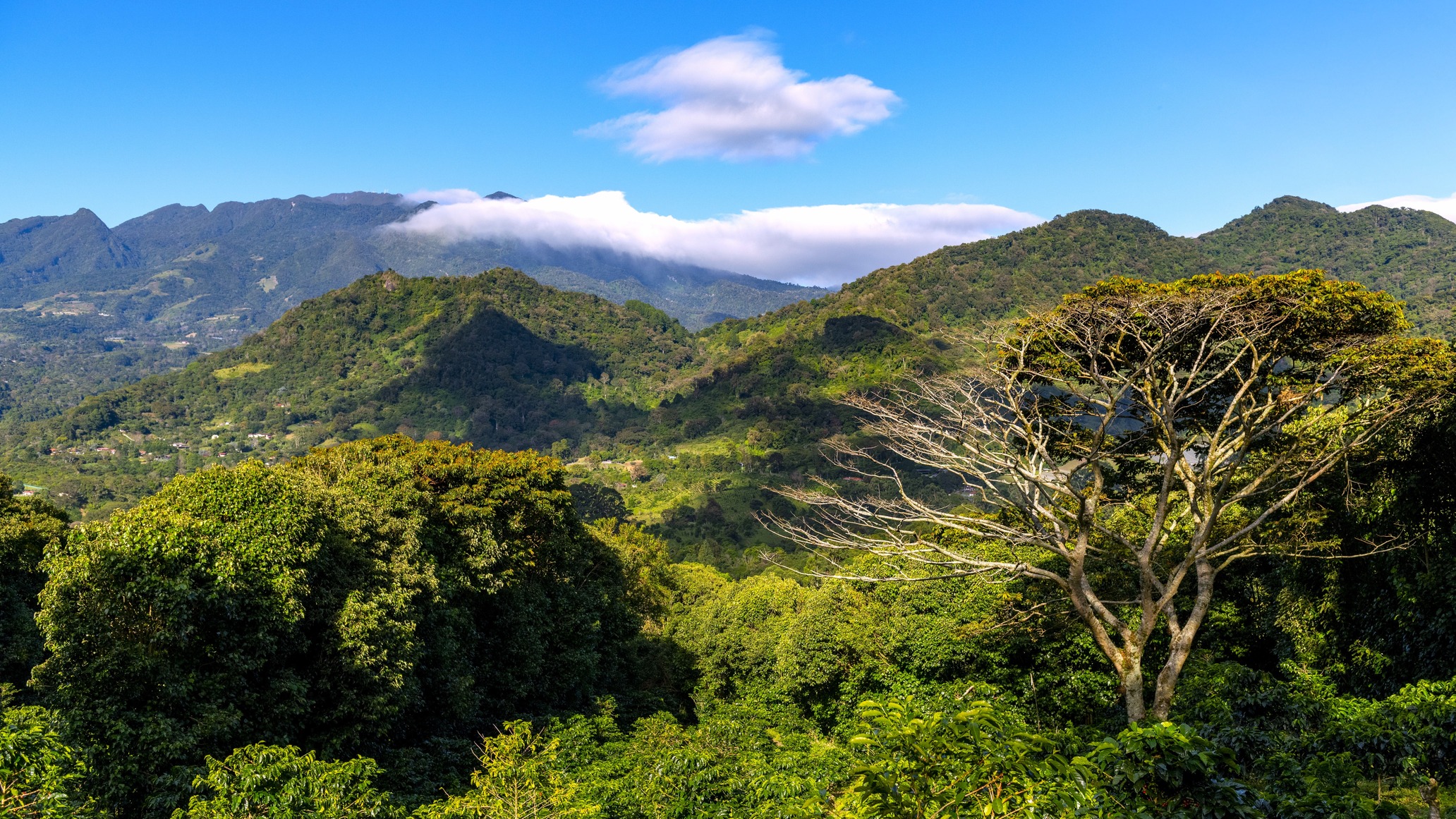 Chiriquí et Boquete