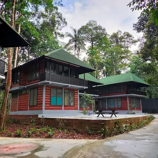 Rompin Rainforest Lodge