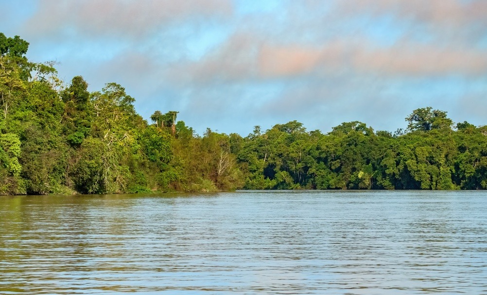 Fleuve Kinabatangan