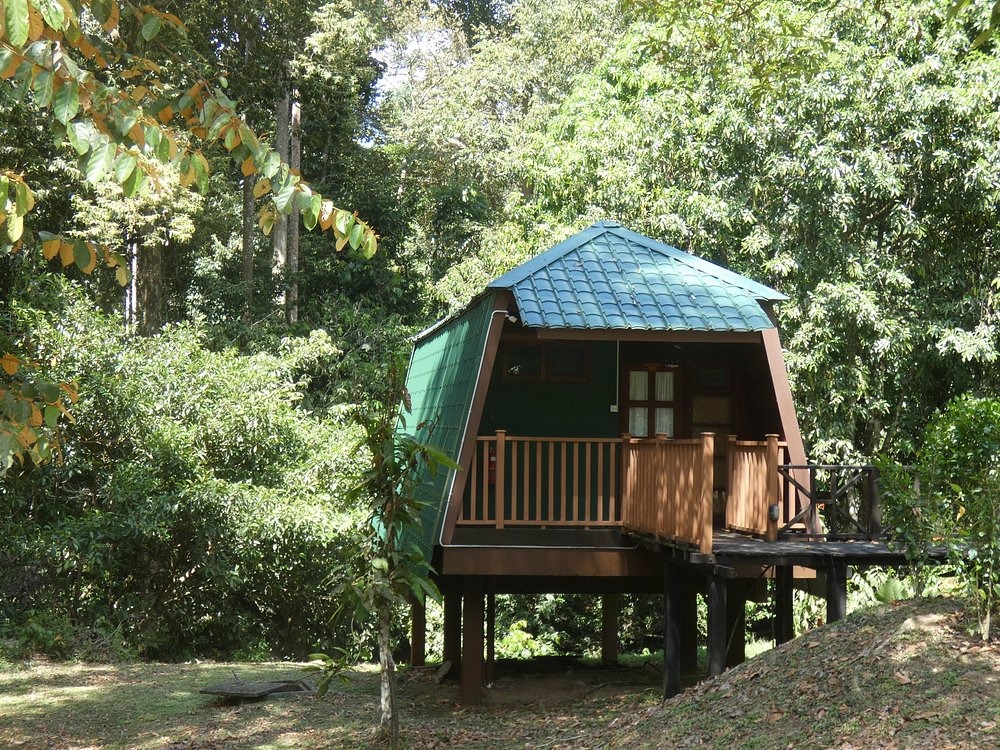 Tabin Wildlife Resort