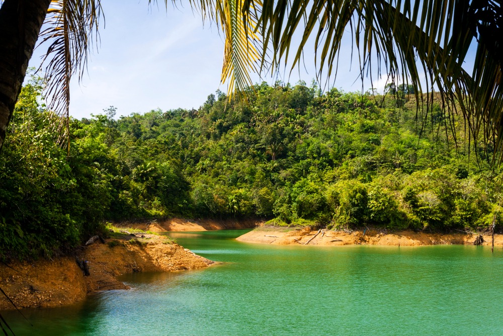Parc national de Batang Ai