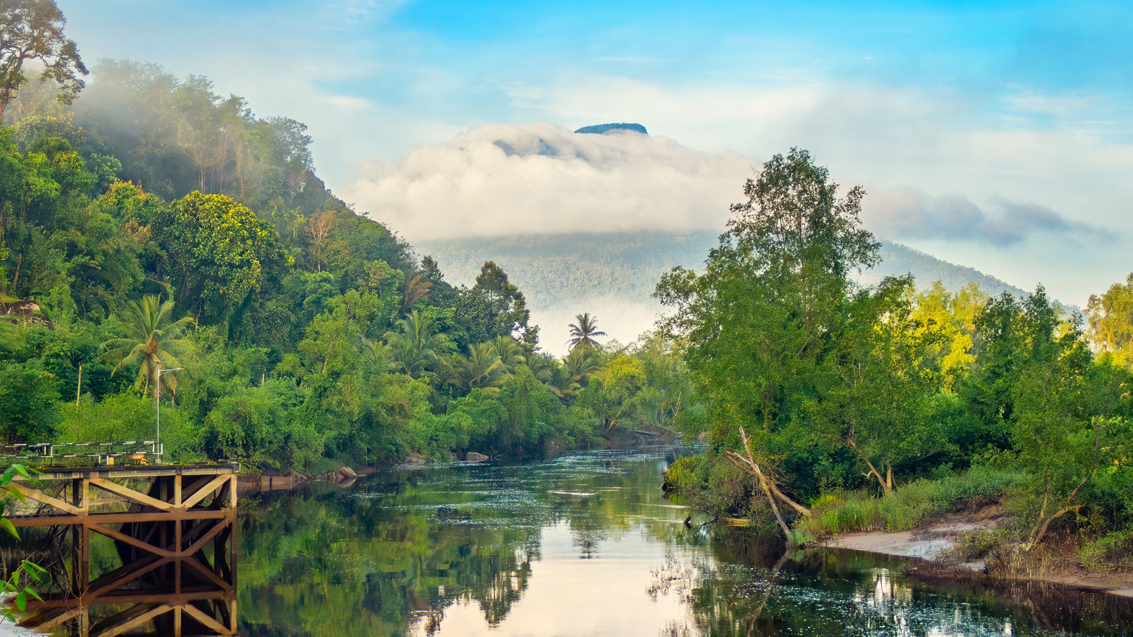 Bornéo - Sarawak