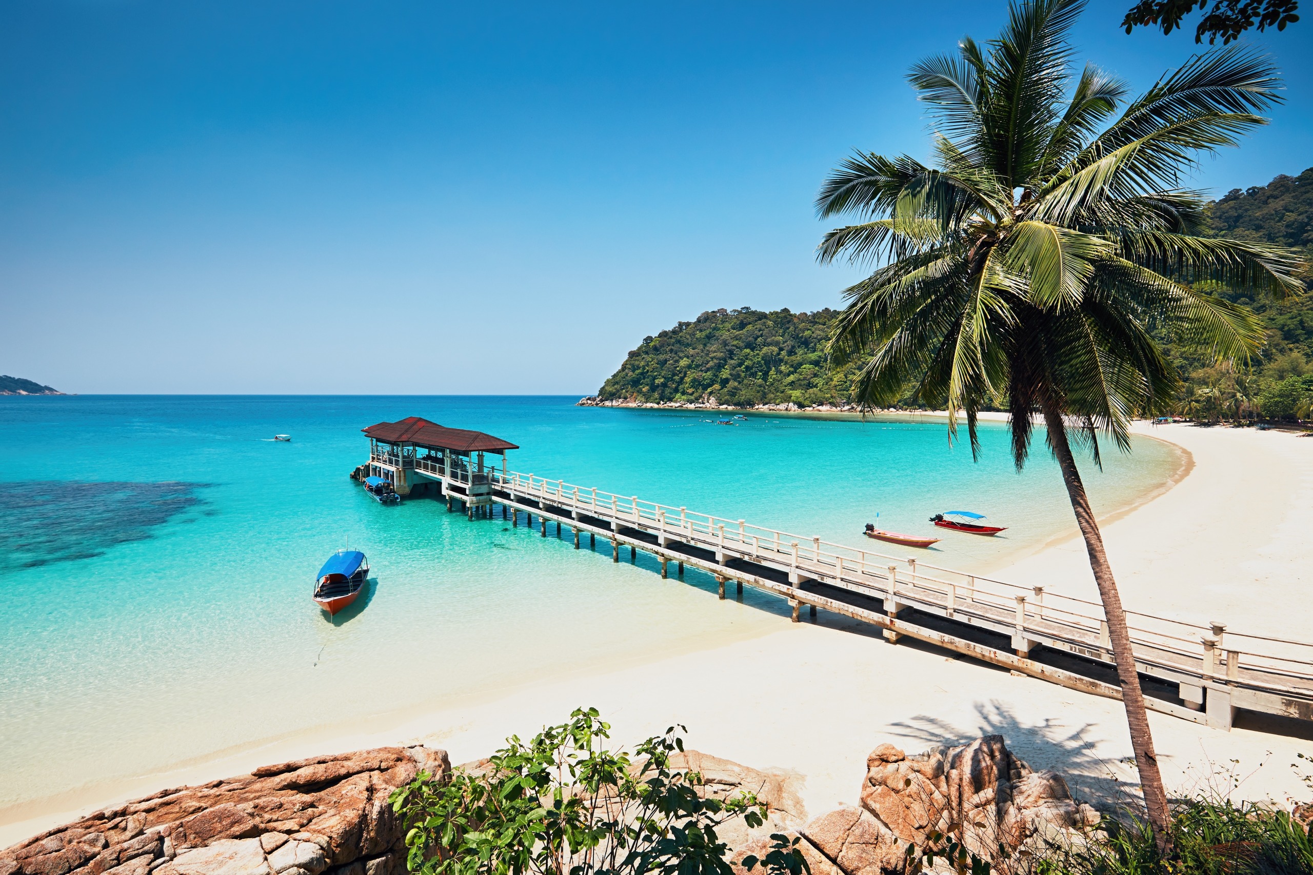 Malaisie : villes, jungle et îles