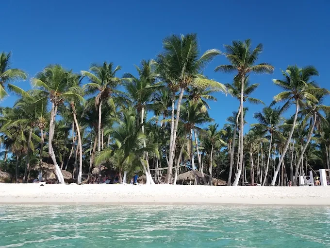 Montagnes tropicales