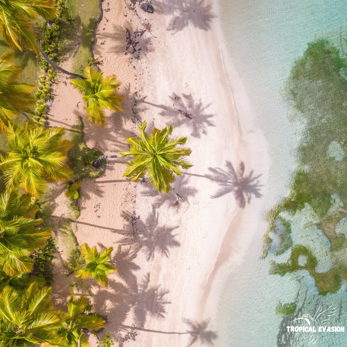 Bayahibe Taking It Easy: 8 Days Between Sea, Nature & Local Culture