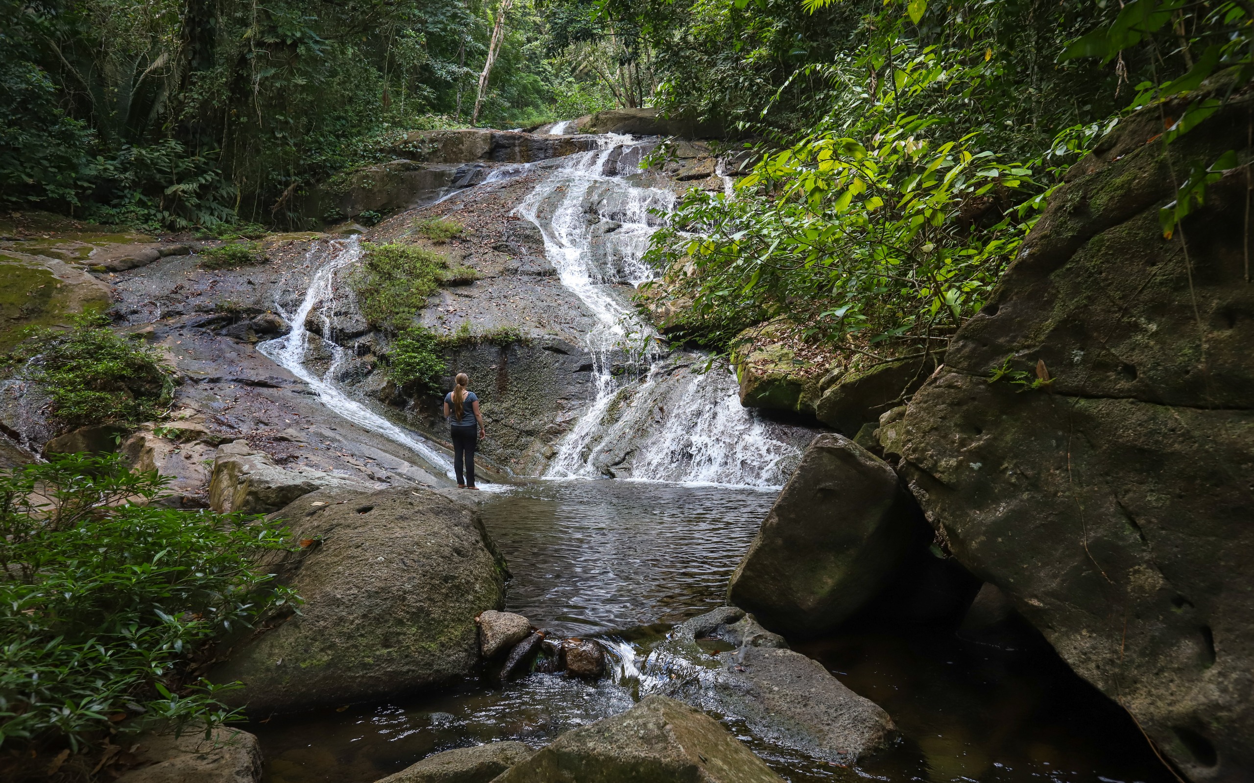 Parc national de Mayflower Bocawina