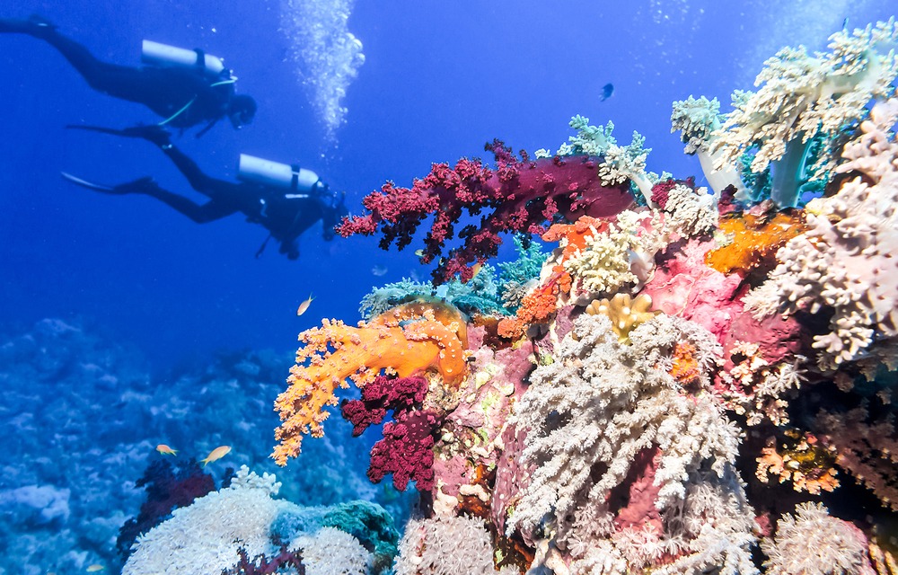 La Barrière de Corail du Belize