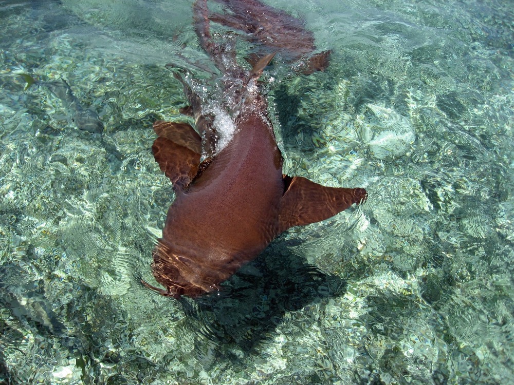 Parc national Bacalar Chico