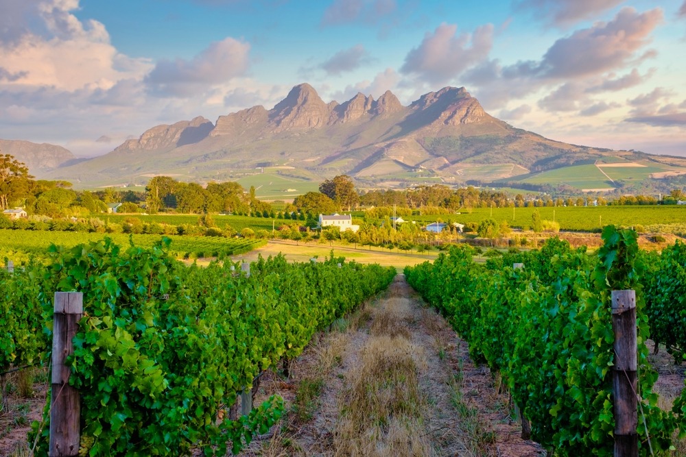 Franschhoek