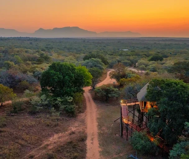 Pezulu Tree House Lodge