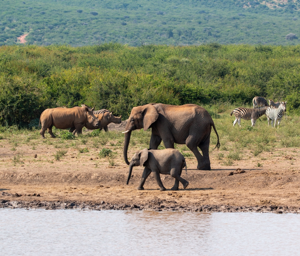 Parc de Gorongosa