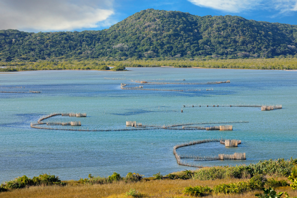 Kosi Bay