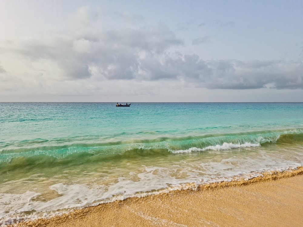 Tra Safari e Spiagge in Mozambico