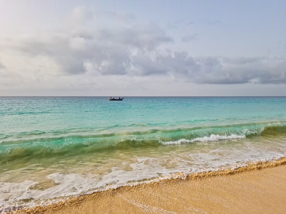 Tra Safari e Spiagge in Mozambico