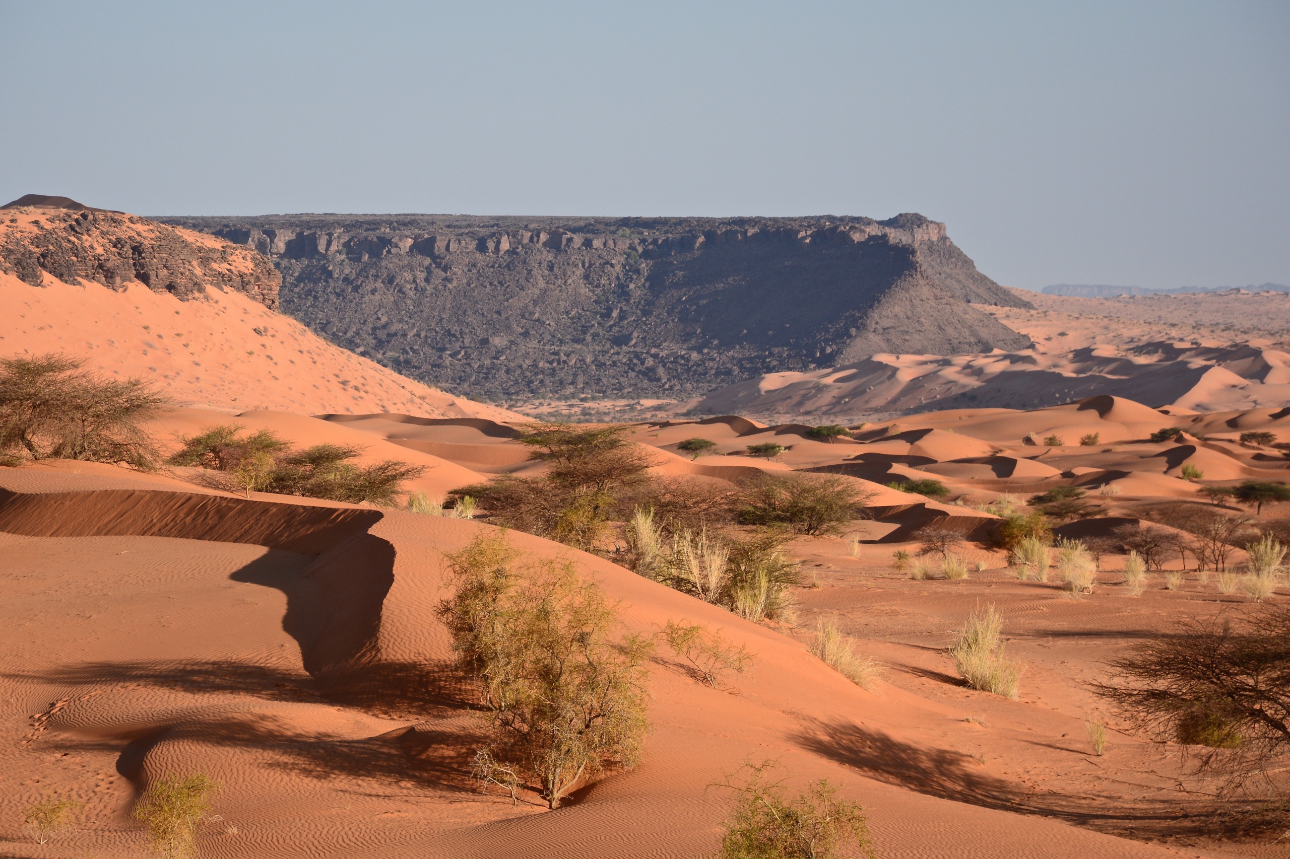 Paysage de la région Tagant en Mauritanie