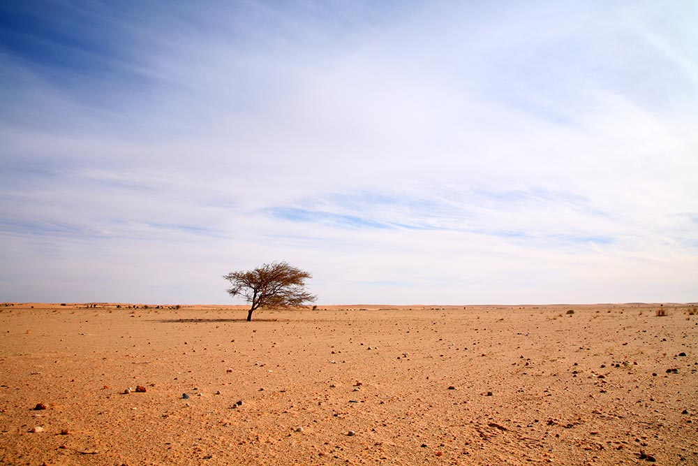 La géographie de la Mauritanie