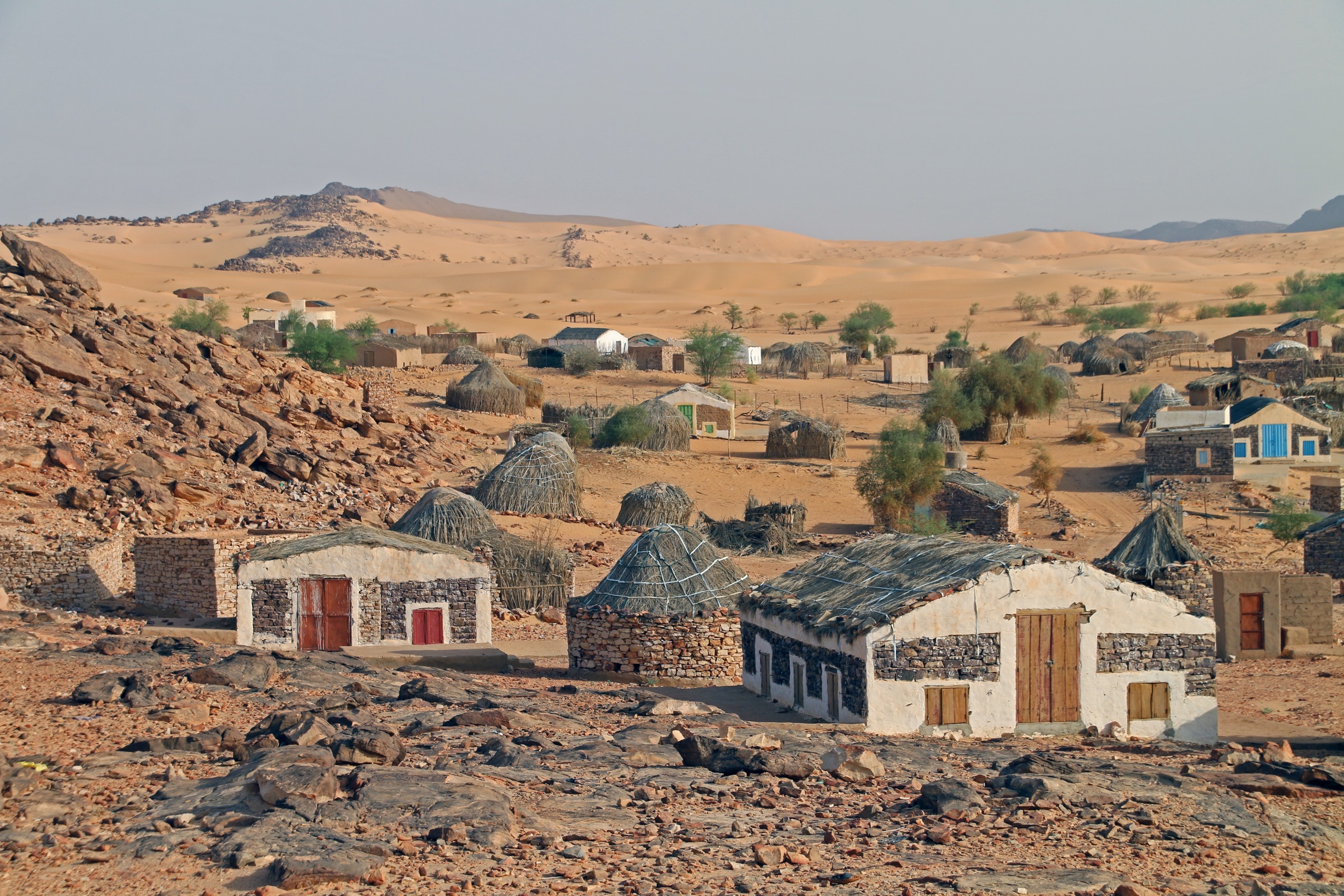 Les plus belles oasis de l'Adrar en Mauritanie