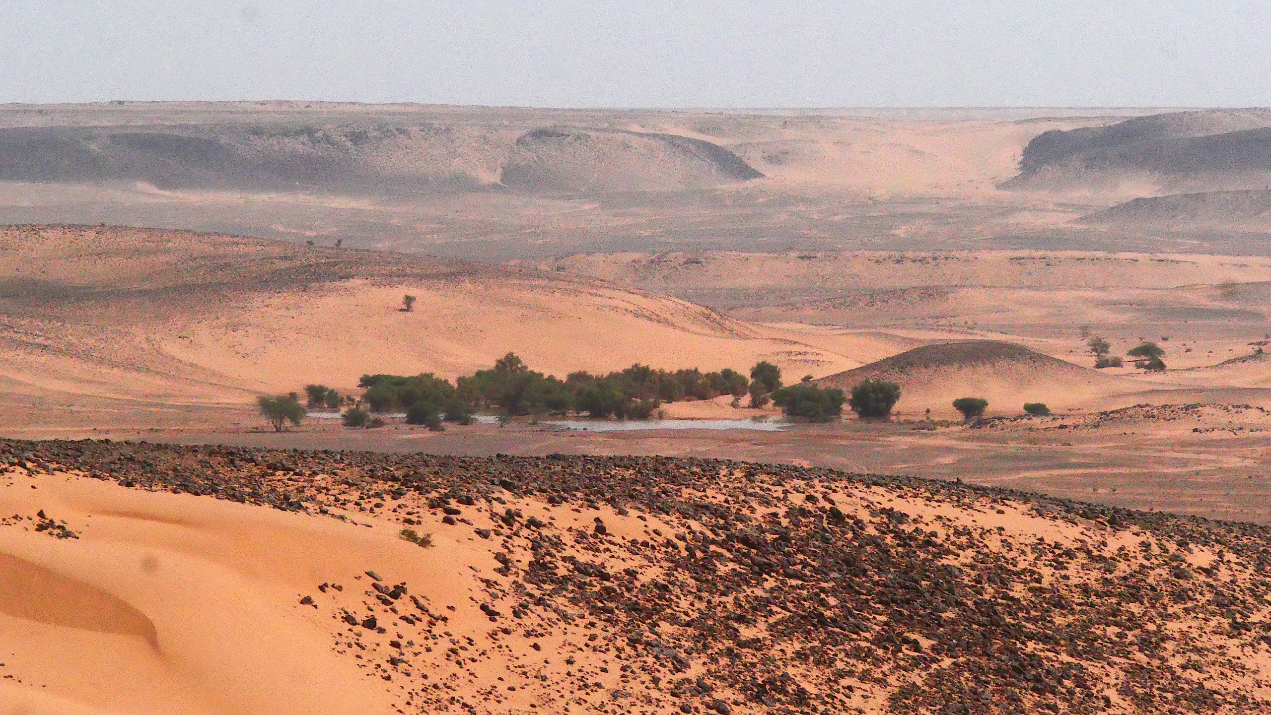 Nuit sur l’Adrar : Quand le Sahara chuchote