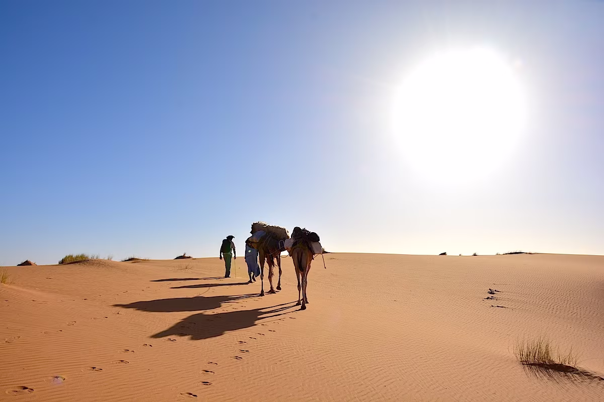 Introduction to Desert Life