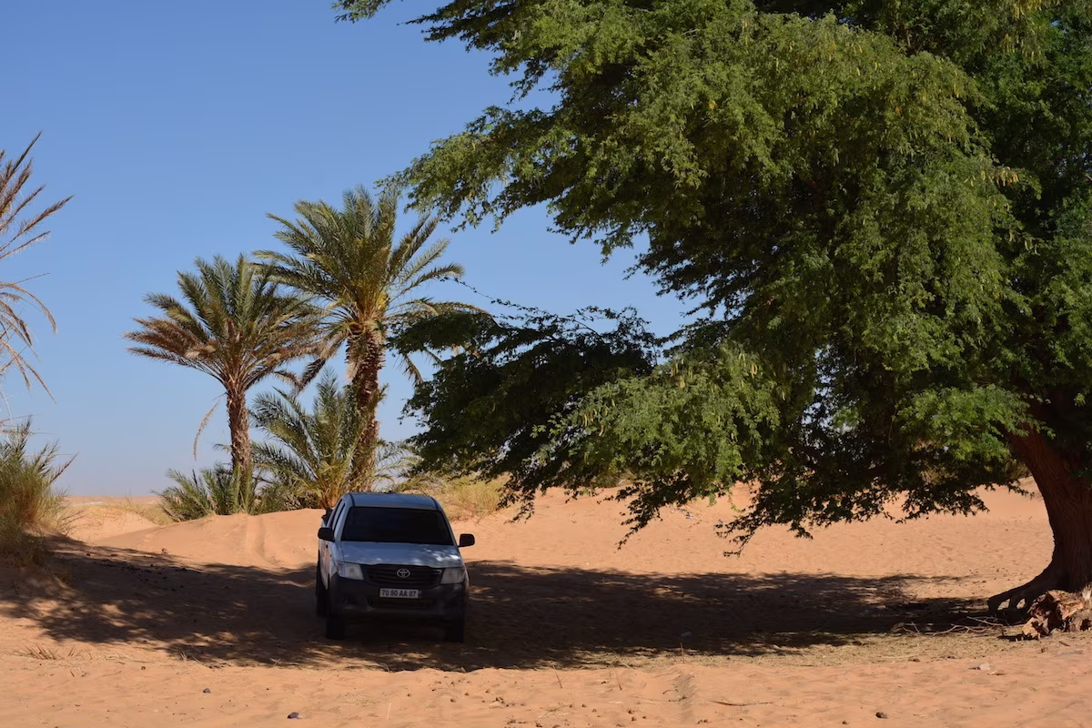 Splendours and mysteries of northern Mauritania