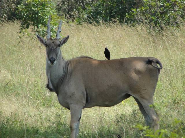 Parc National de Fazao