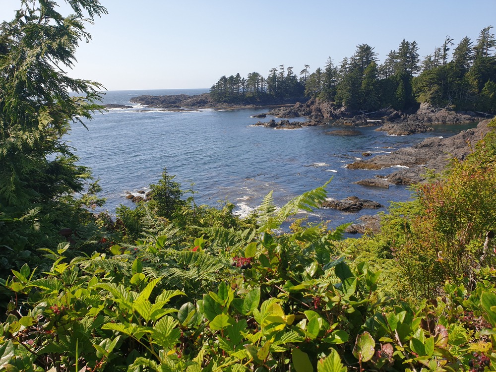 Wild Pacific Trail