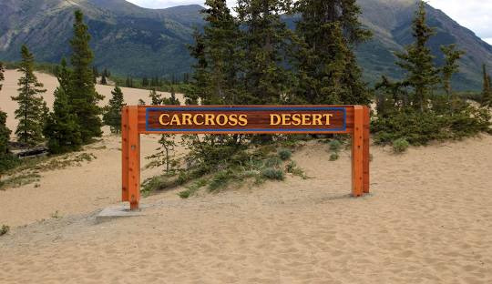 Carcross