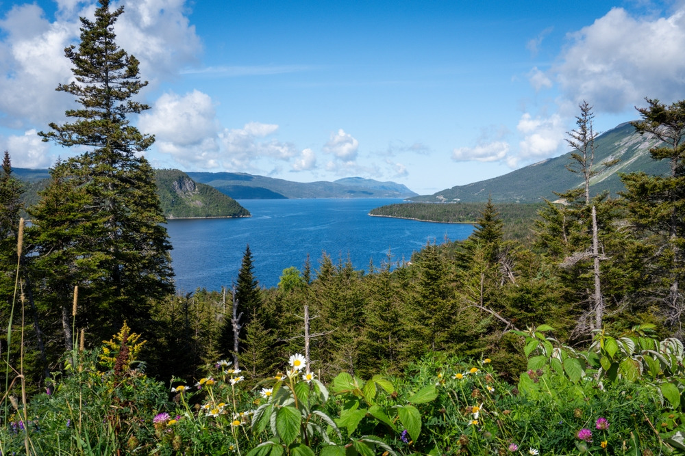 Parc national du Gros