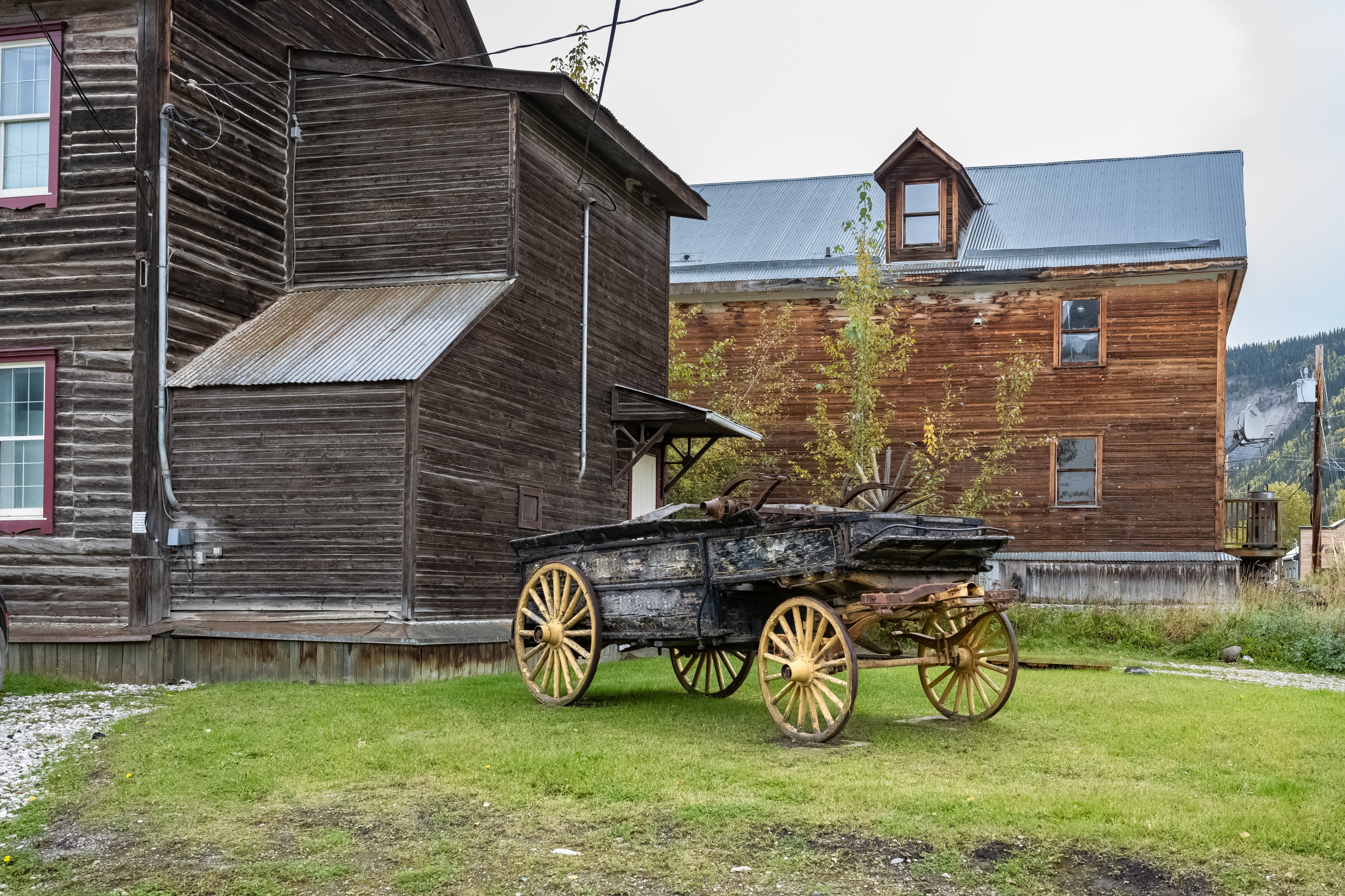 Dawson City