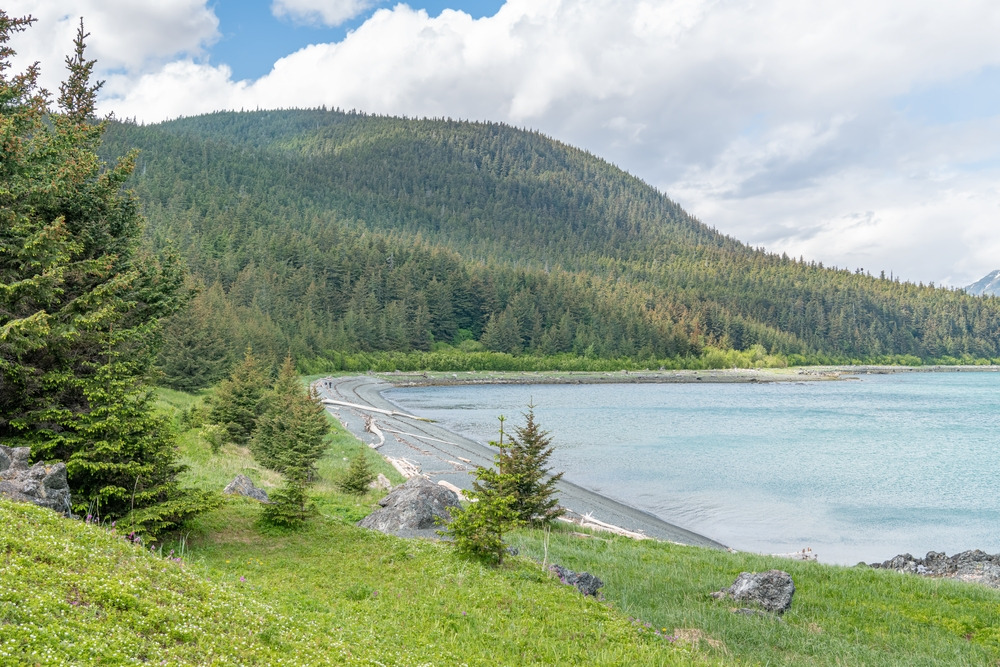 Parc d’État de Chilkat