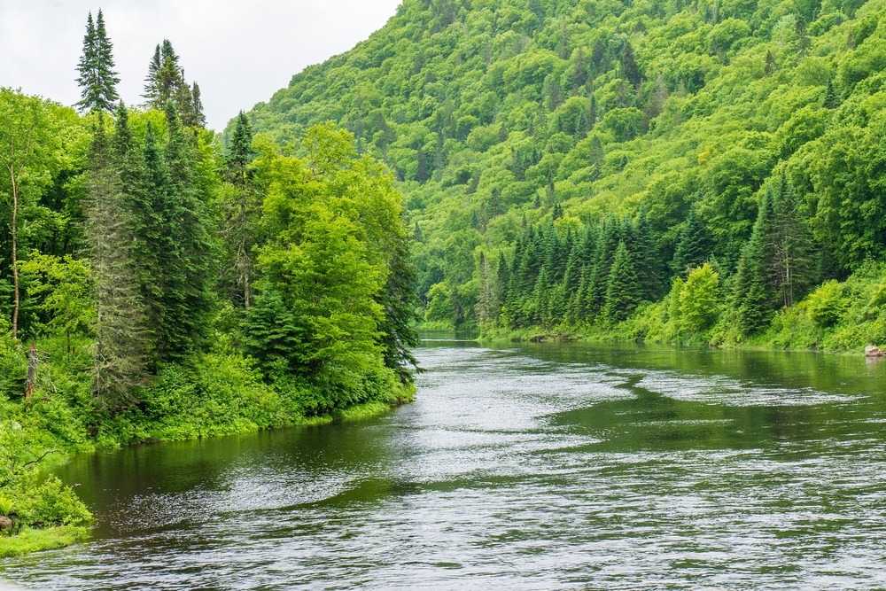 Parc national de la Jacques