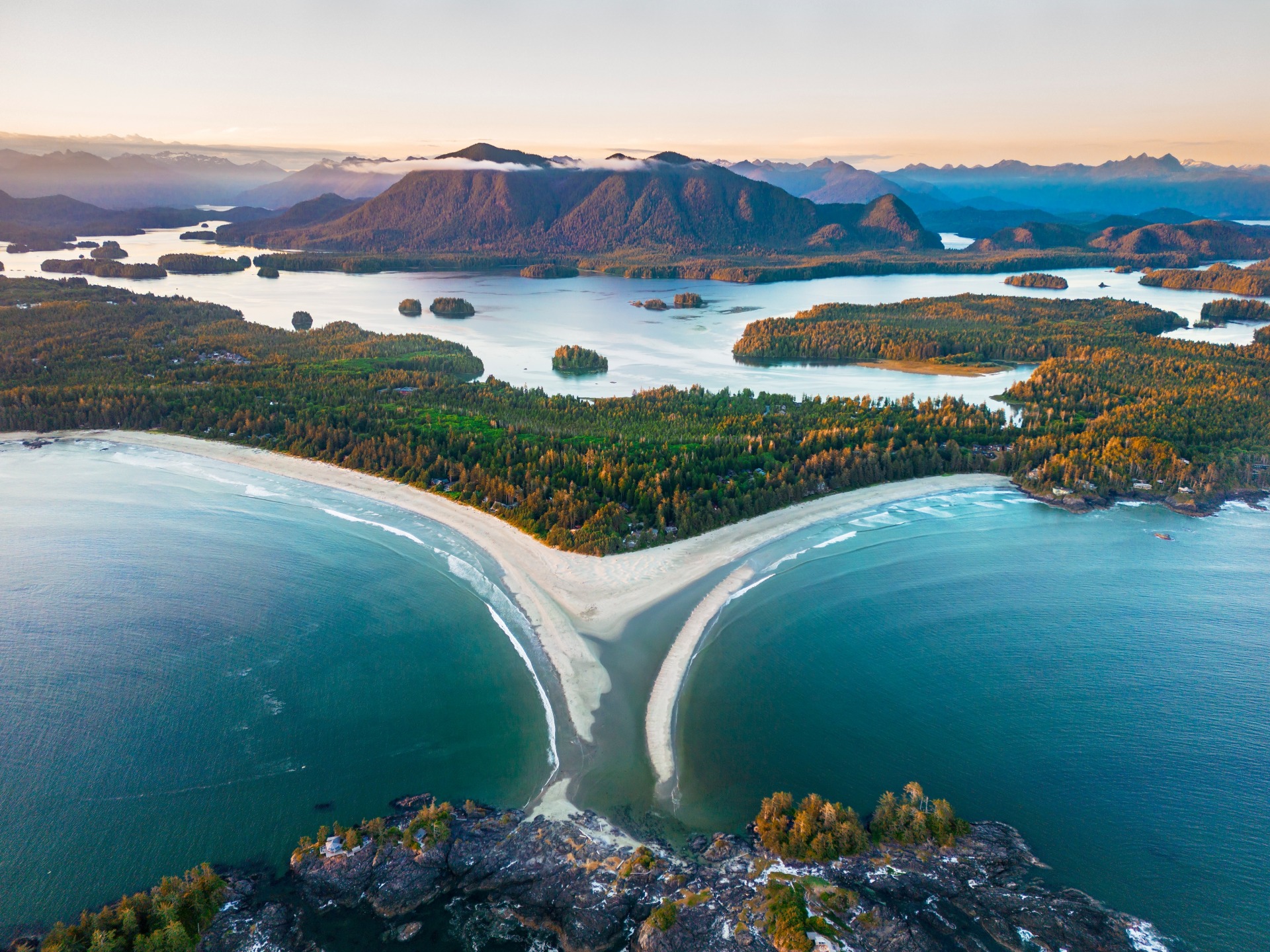 Tofino