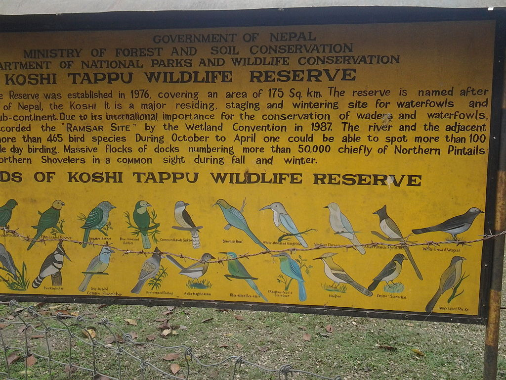 Réserve naturelle de Koshi Tappu