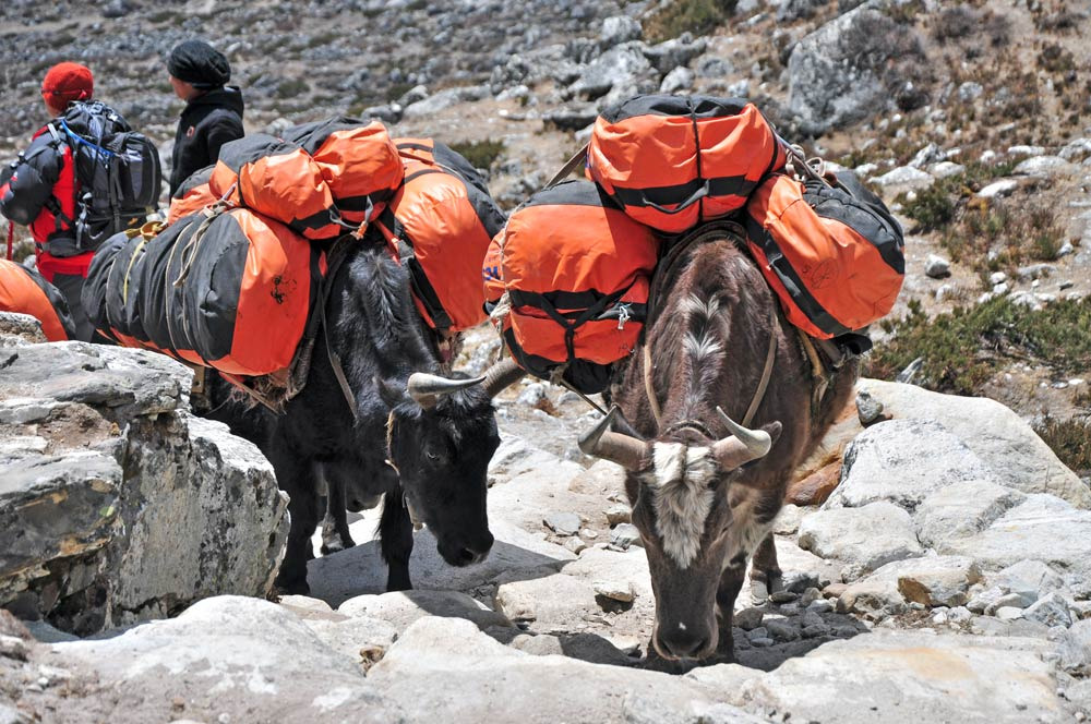 Vallée du Khumbu