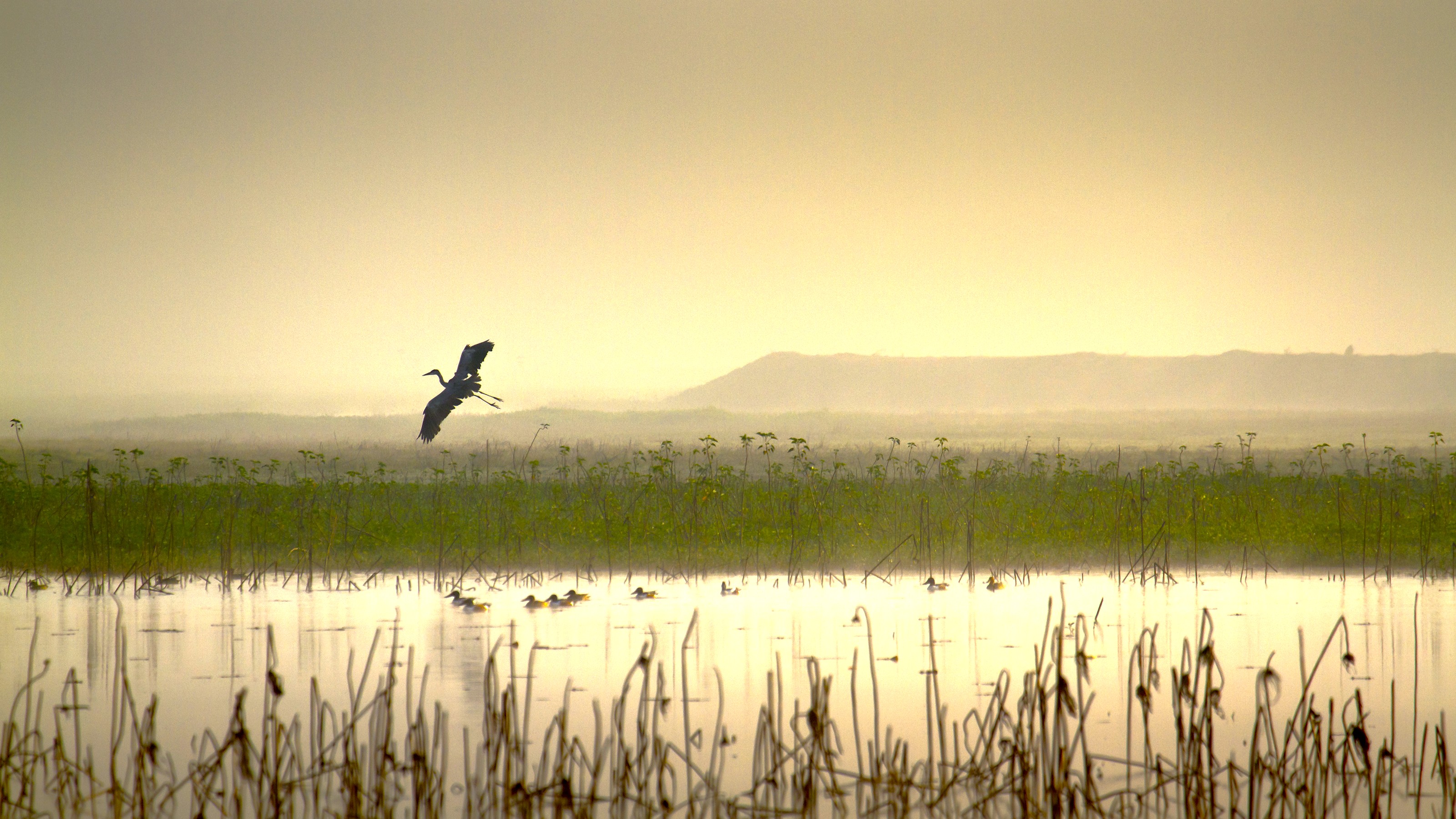 Paysage de la région Teraï et Chitwan en Népal