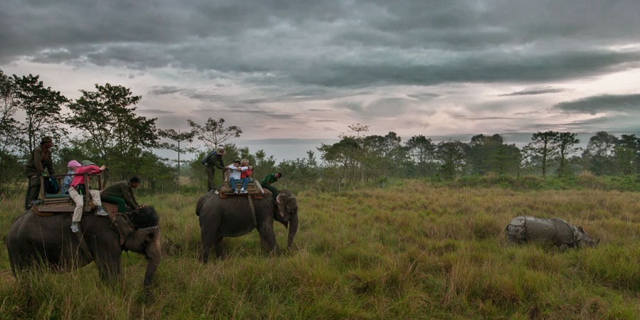 Le parc national de Chitwan