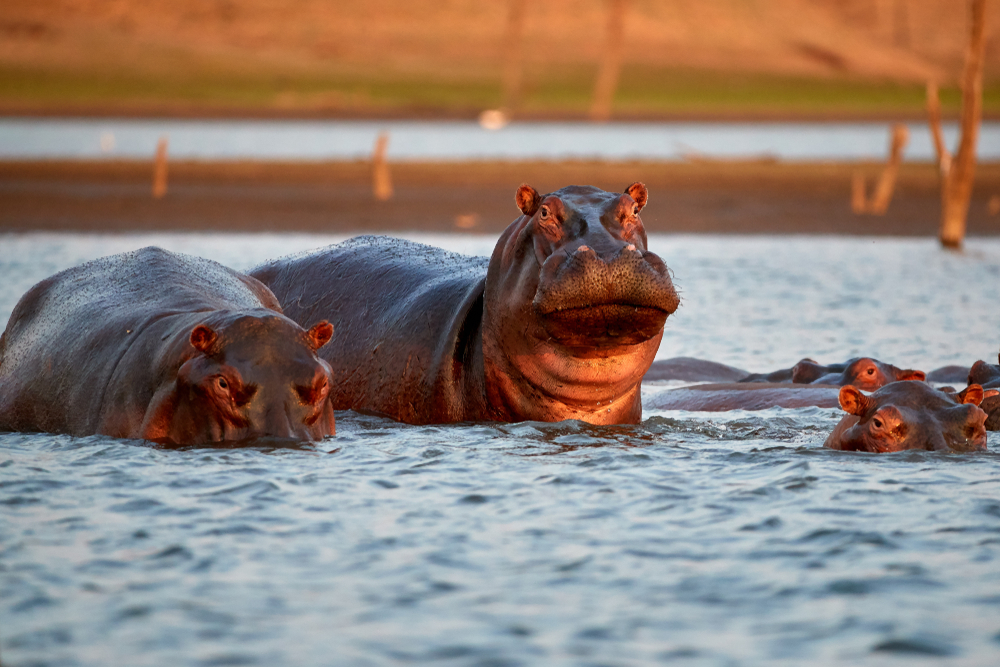 Lago Kariba