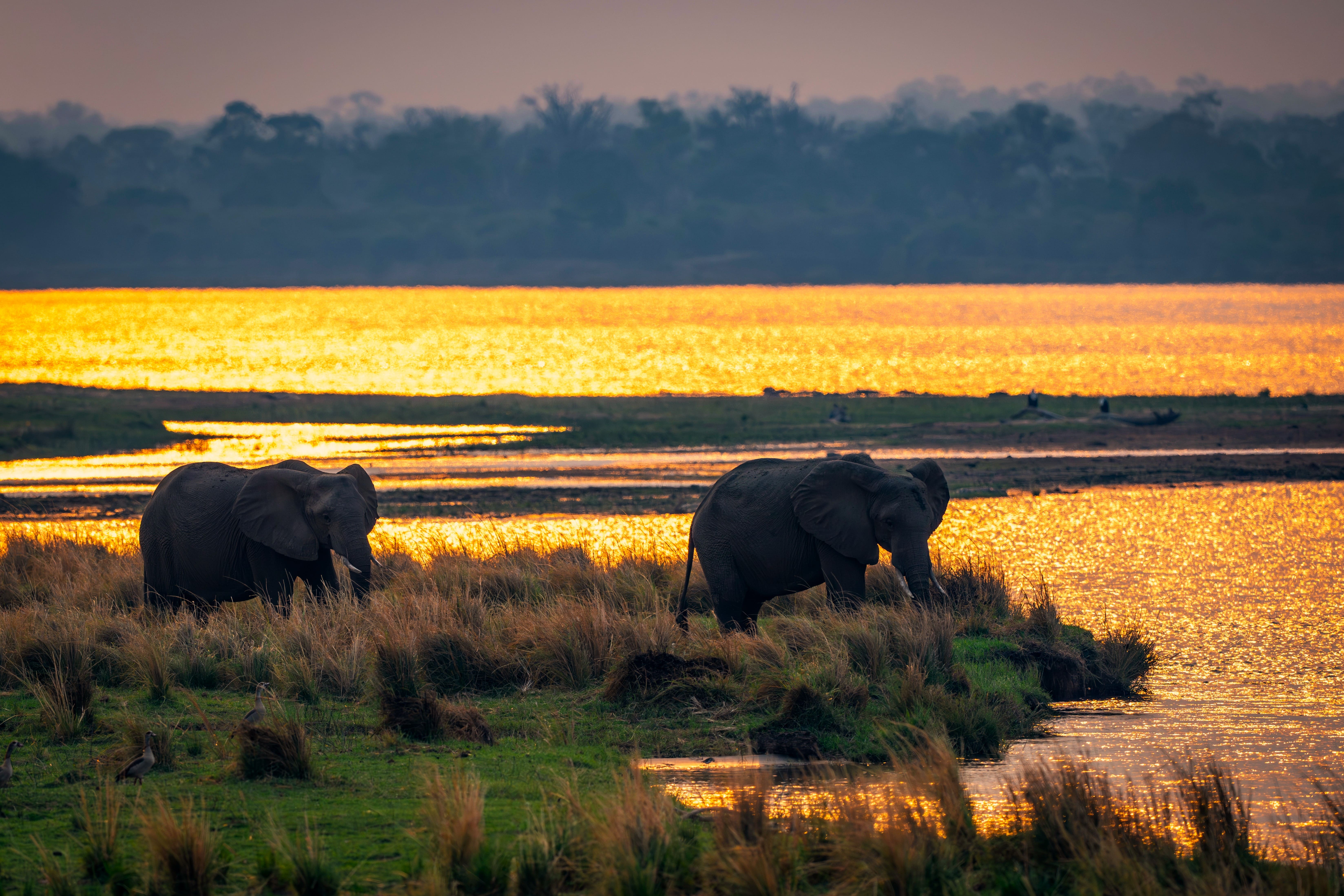 Paysage de la région Hwange en Zimbabwe