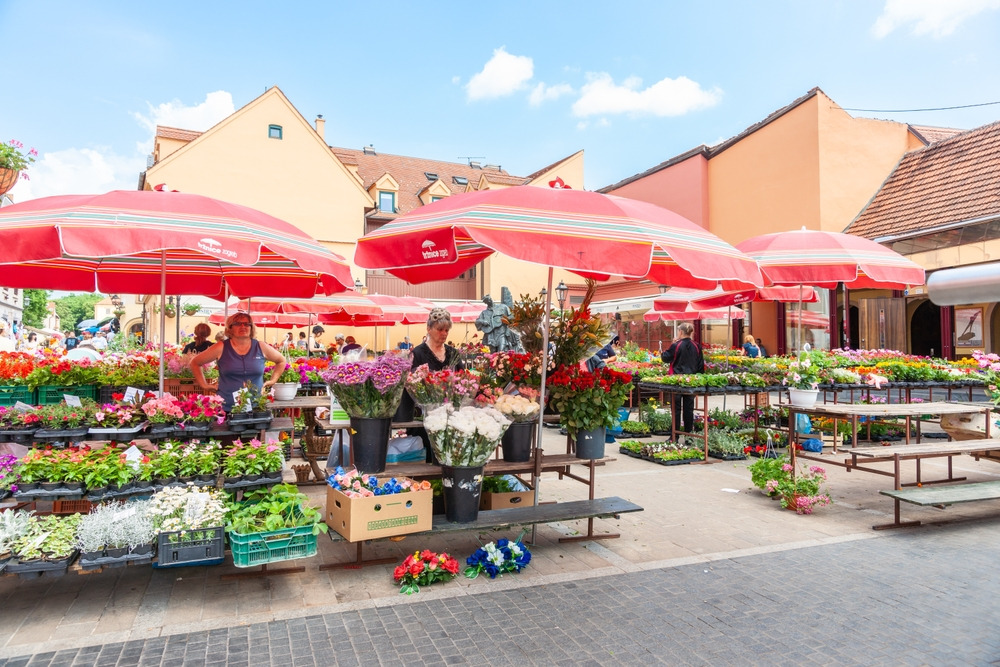 Marché de Dolac